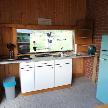 Ferienwohnung Und Sommerhaus Unter Der Burg Falkenberg  Exterior foto